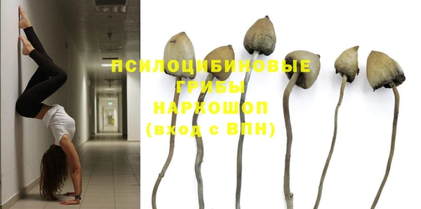 шишки Навашино