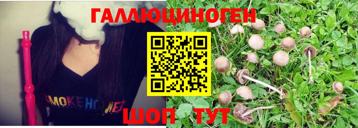 Комсомольск-на-Амуре  Псилоцибиновые грибы Magic Shrooms  Вход с VPN 