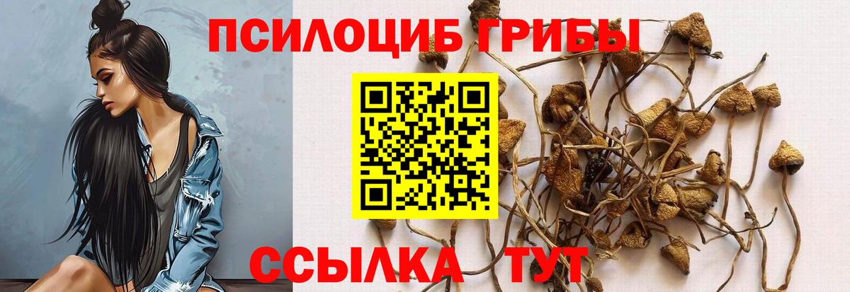 Галлюциногенные грибы Psilocybe Комсомольск-на-Амуре